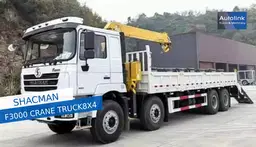 F3000 Camion grue